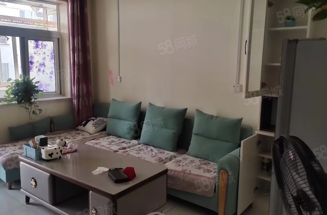 交通便利 医疗配套成熟送家具送地下室价格可议全款优惠房东直卖