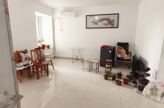 文轩八中，电梯房羡林苑，龙山花园，东关国际