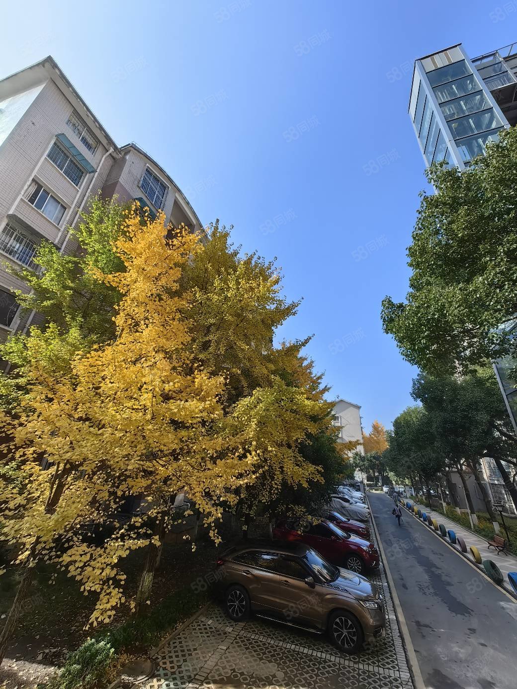 观山湖区碧海花园贵阳三中对面丽阳天下产权清晰临地铁