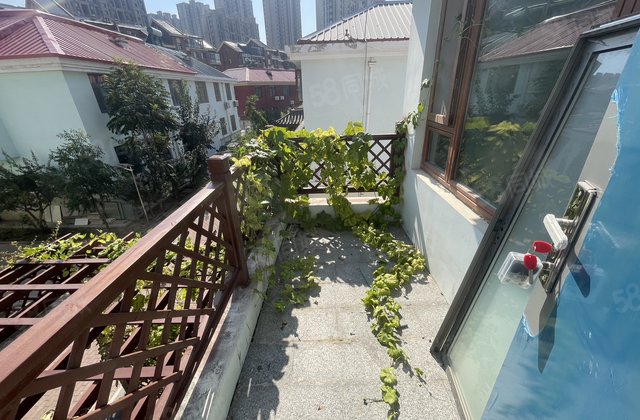 双拼别墅！带大院子！开发区脑科医院附近！御润好家凤凰新城英伦