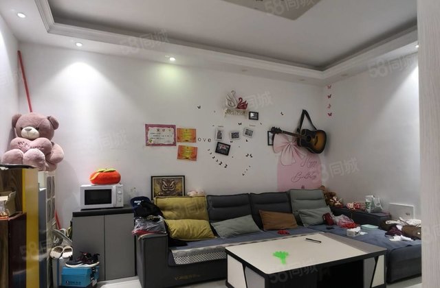 海源丽都 精装可拎包入住 南北通透 商业配套齐全 商品住宅