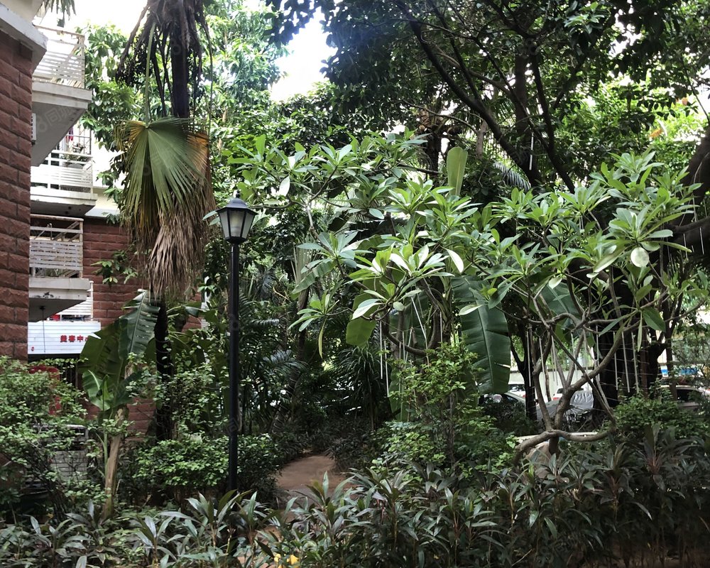 【馨海湾, 馨海湾小区详情,房价走势,房源,业主论坛】- 三亚58同城