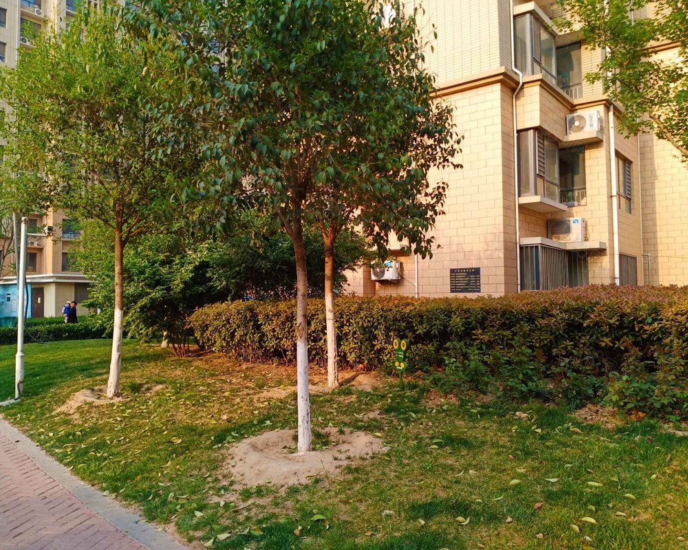 【金柱绿城, 金柱绿城小区详情,房价走势,房源,业主论坛】- 聊城58