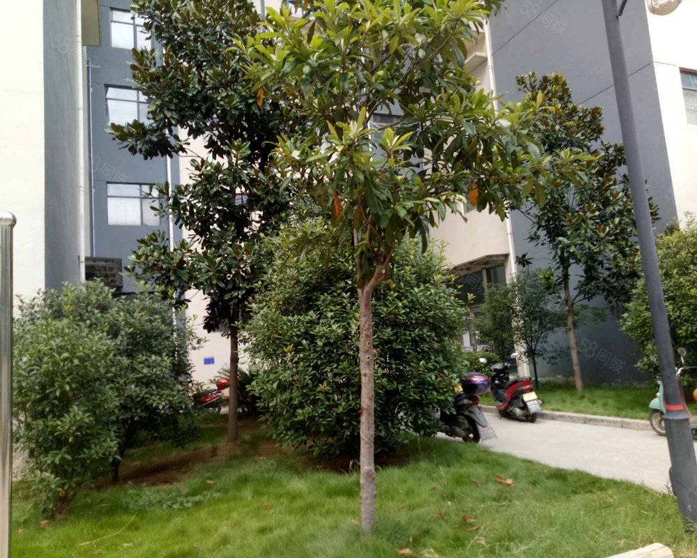 东方曼哈顿西区小区详情,房价走势,房源,业主论坛】- 南漳58同城