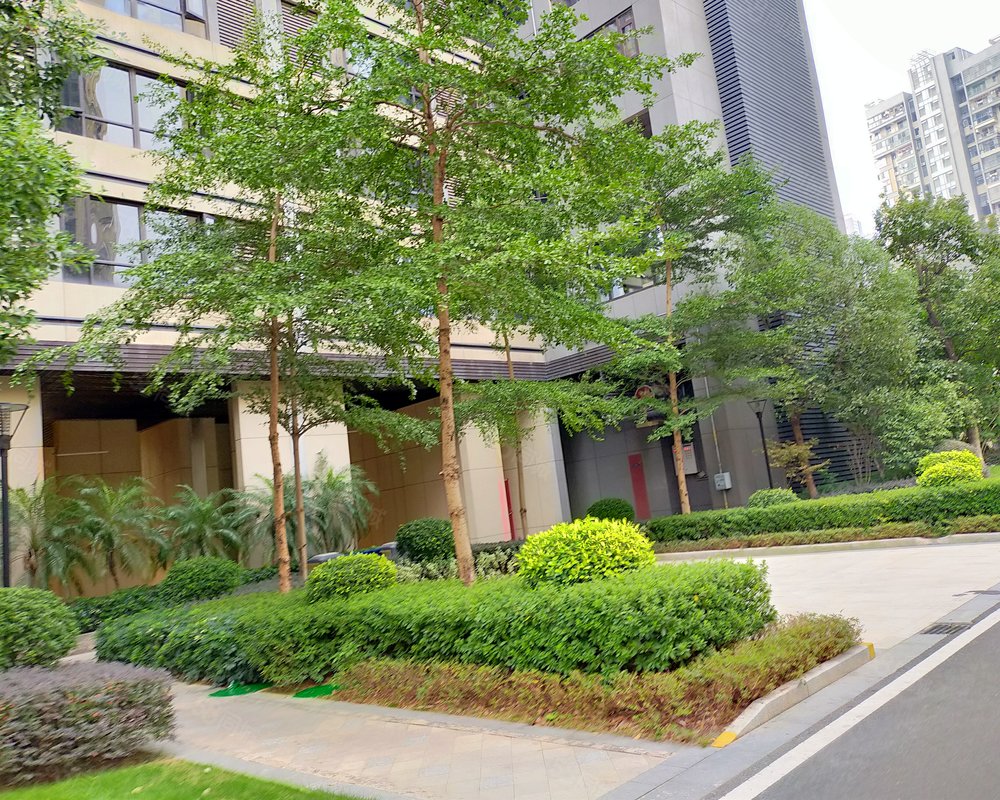大观, 云星公园大观小区详情,房价走势,房源,业主论坛】- 赣州58同城