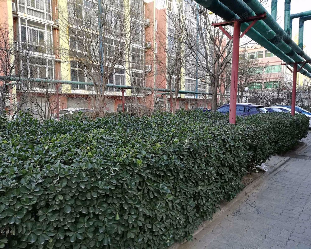 【金阳花园, 金阳花园小区详情,房价走势,房源,业主论坛】- 沧州58