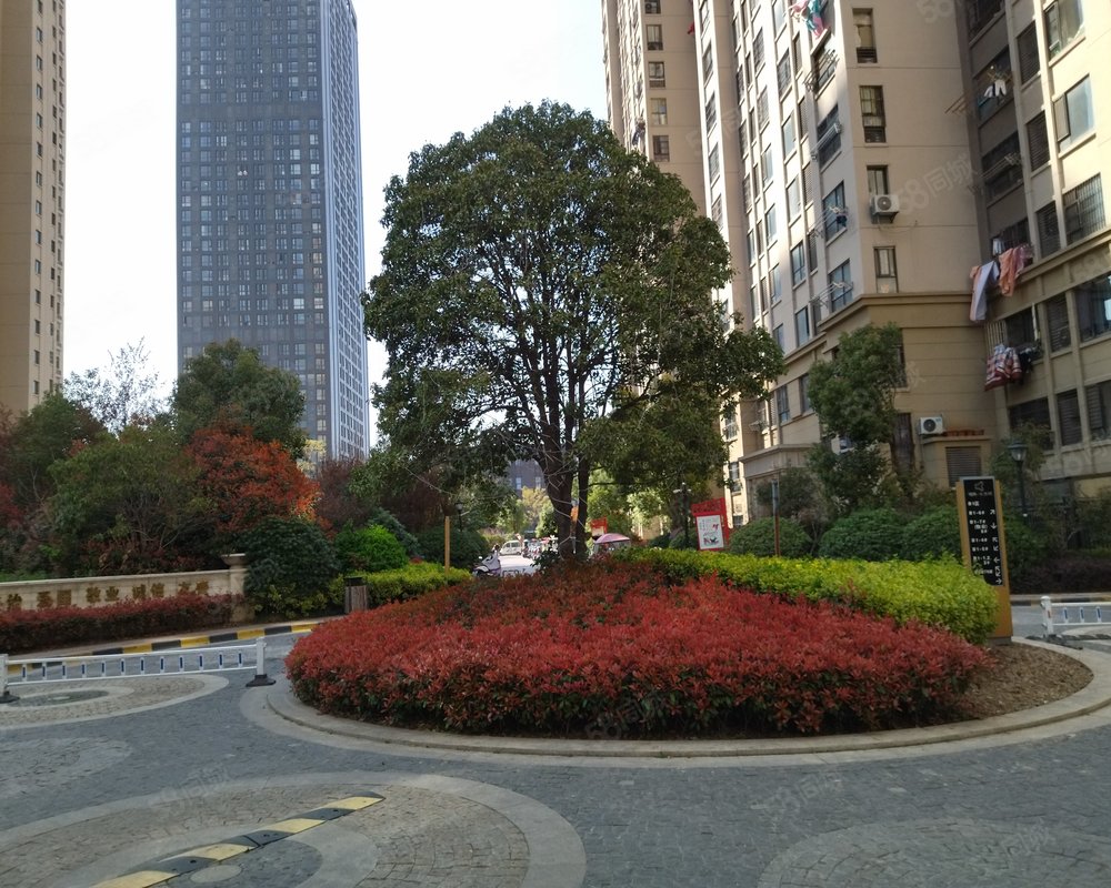 鹏欣水游城一区