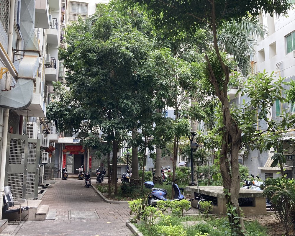 石狮市步行街(f区)