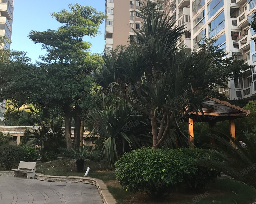 盛世天骄