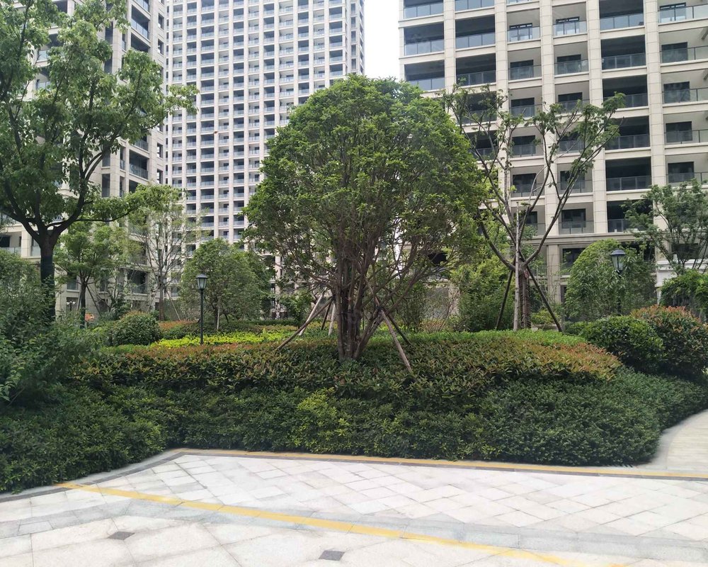 【泽园未来城, 泽园未来城小区详情,房价走势,房源,业主论坛】- 建湖