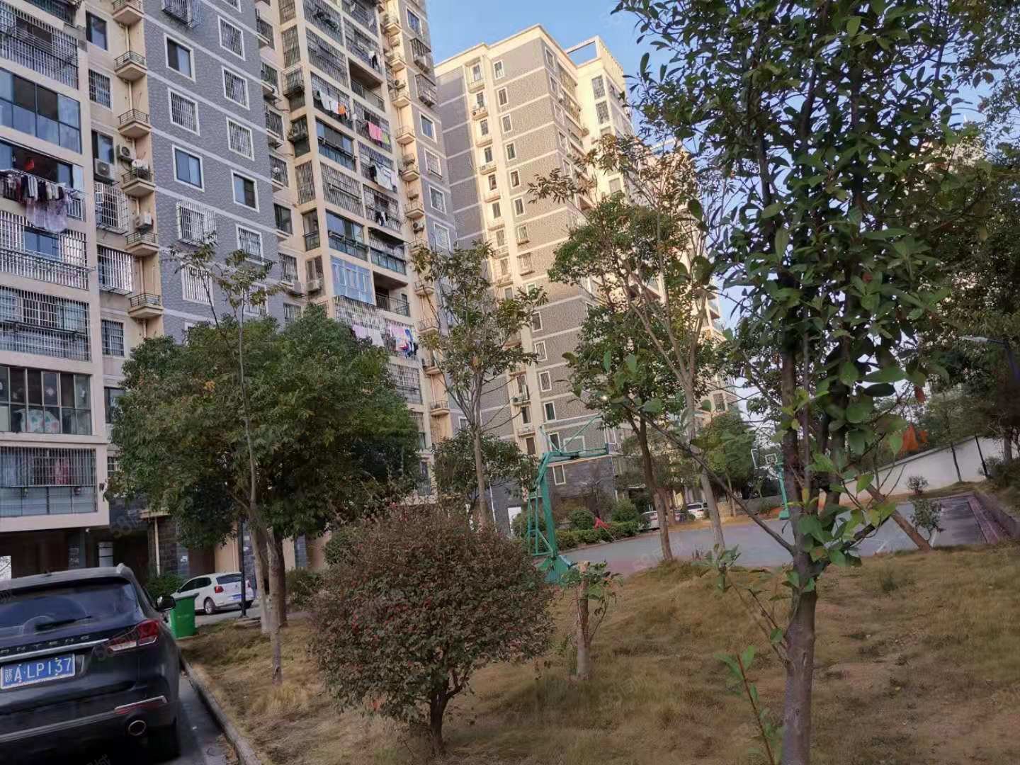 半岛豪园 正规小区 精装修 南北通透 进贤新区 拎包入住
