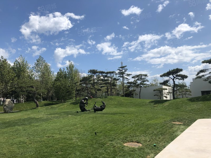 内部特价房 拼手速 山海关富力金禧 精装电梯小高 全明户型