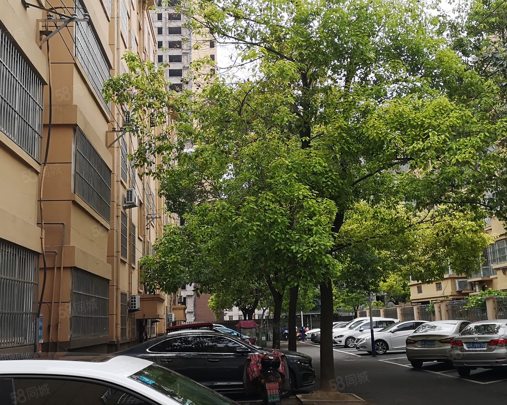 【香樟园, 香樟园小区详情,房价走势,房源,业主论坛】- 阜阳58同城