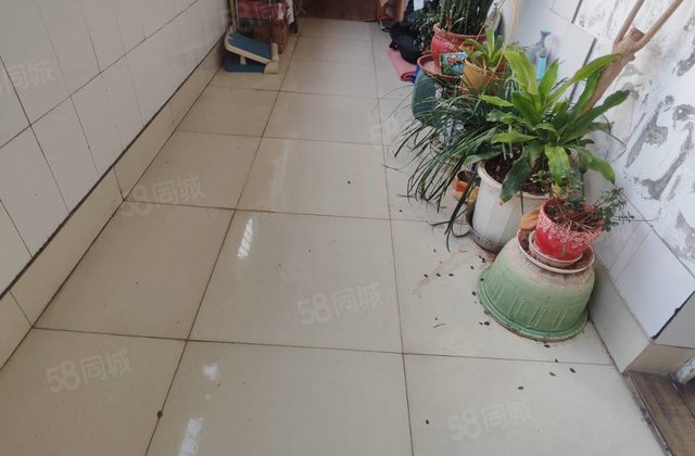 急售！单价4开头！紧邻阿尔卡迪亚！三室朝阳！停车方便！送储！