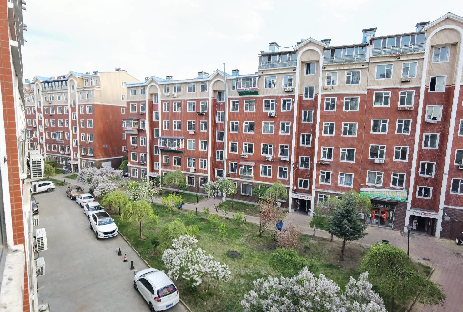 旭阳花园1室1厅1卫65㎡南北38万