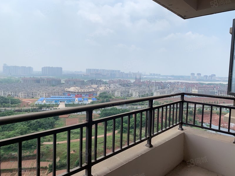 实拍实价 绿地国博城二期 一线江景房 房东生意遇到困难 急售