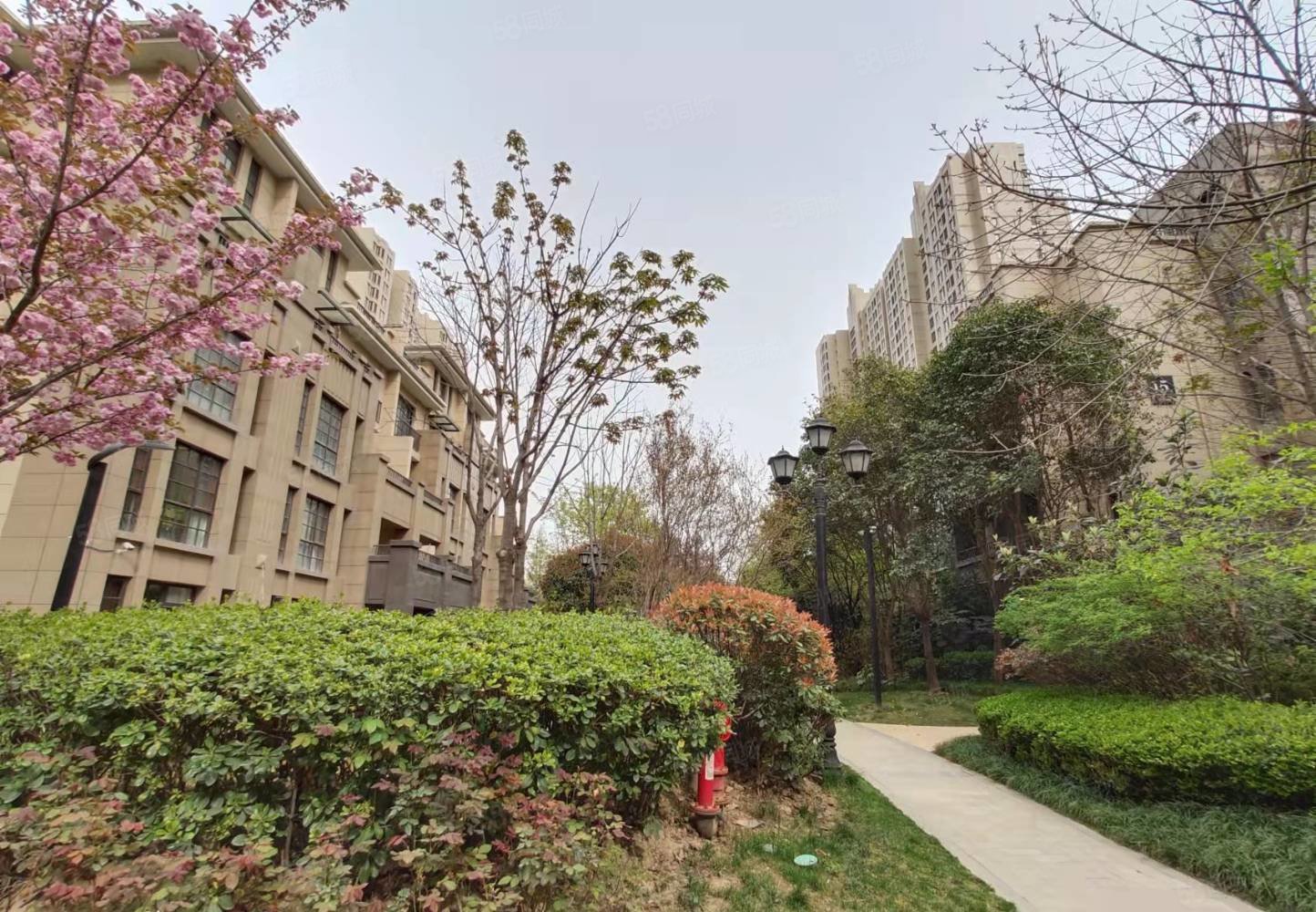 白桦林间,南北通透四室,满三满二,诚心出售,白桦林间-西安58同城