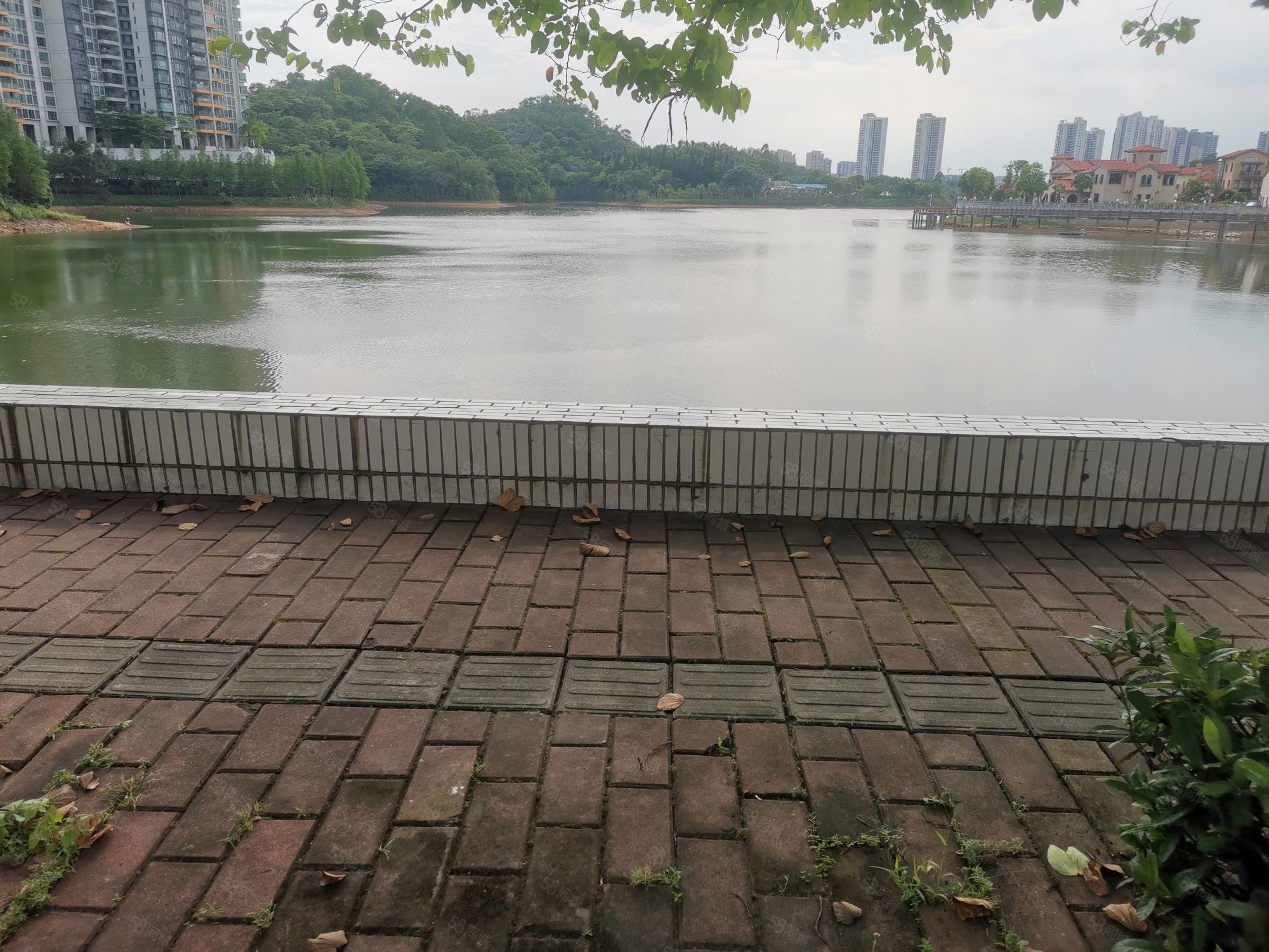 比华利山4房,南北双阳台,凉爽,向南,看湖景,富盈比华利山-阳江58同城