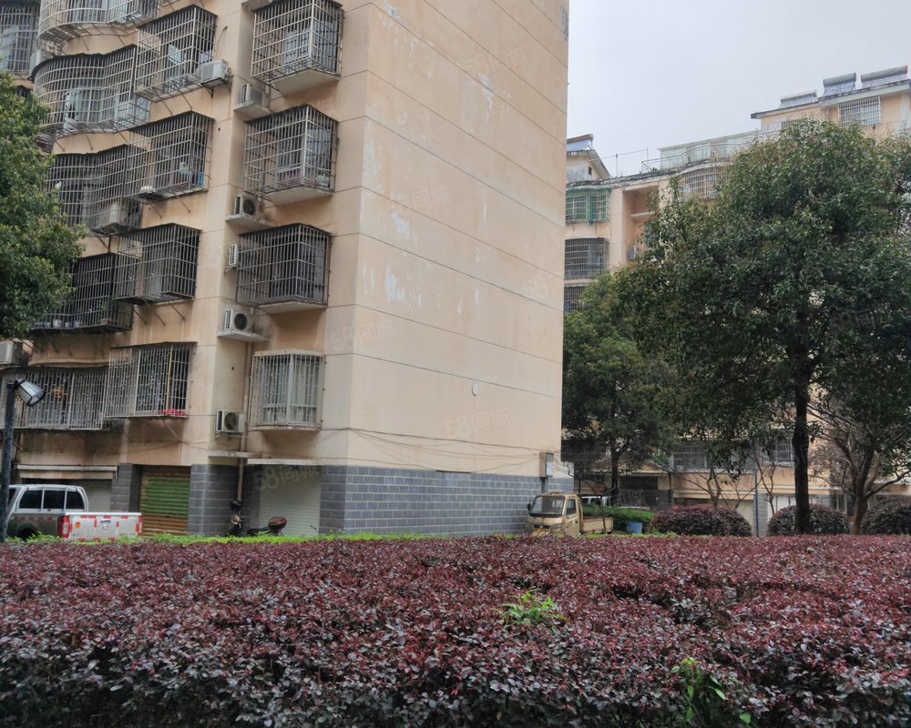 【金辉小区, 金辉小区小区详情,房价走势,房源,业主论坛】- 岳阳58