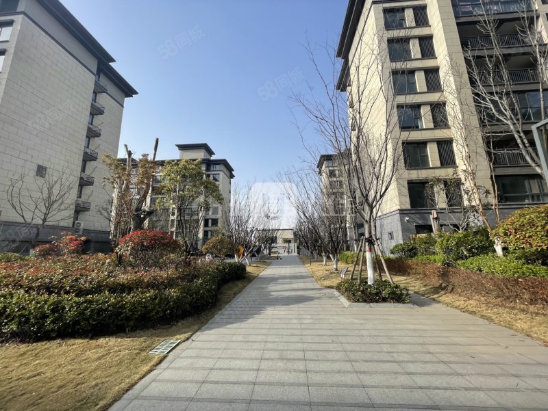 建业南湖上院4室2厅2卫143㎡南北173万