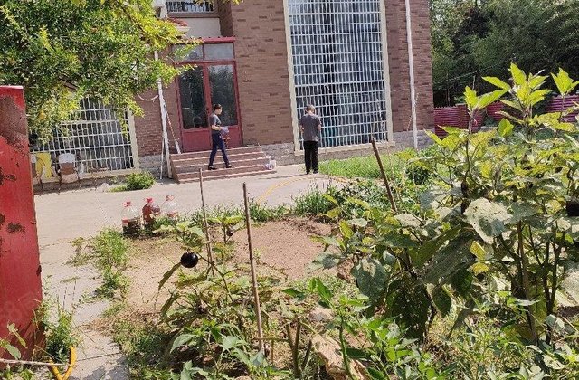 城市主人 古楼别墅 独栋别墅 带一亩大院 临湖 看房方便