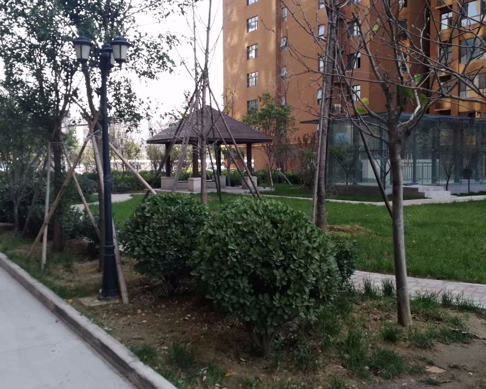 【紫龙苑, 紫龙苑小区详情,房价走势,房源,业主论坛】- 郑州58同城