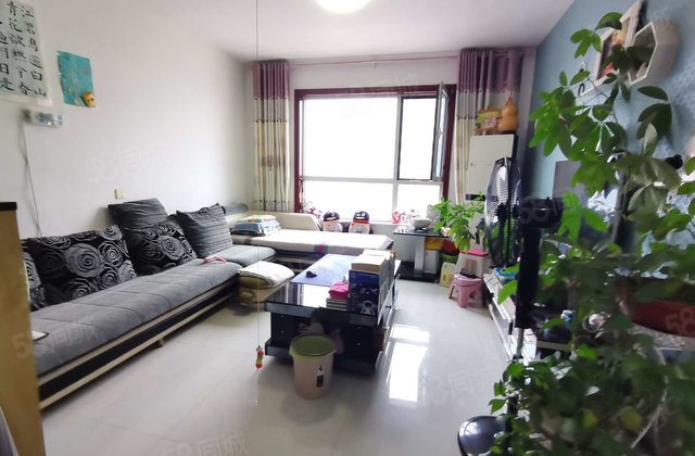 东昌湖周边 南北通透 近医院 双卫格局 正规商品房 小区新