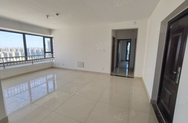 阿卡 理想城电梯新房 带车位储藏室 大边户装修未住