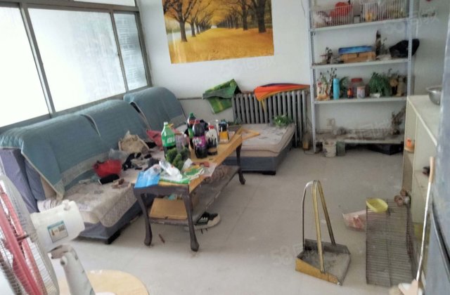 老文轩外国语花小钱办大事市中心好地段步梯房免大税有钥匙随时看