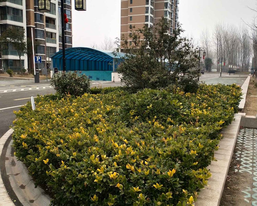 【隆城香堤, 隆城香堤小区详情,房价走势,房源,业主论坛】- 宿迁58