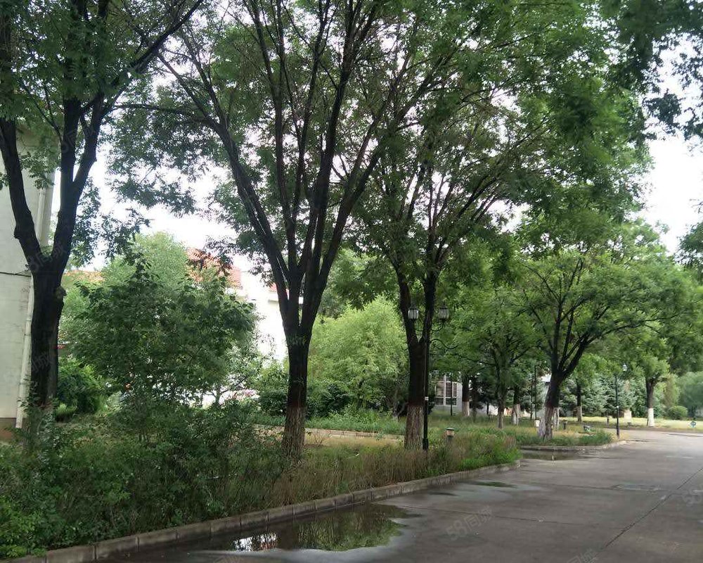 【丽日花园, 丽日花园小区详情,房价走势,房源,业主论坛】- 包头58