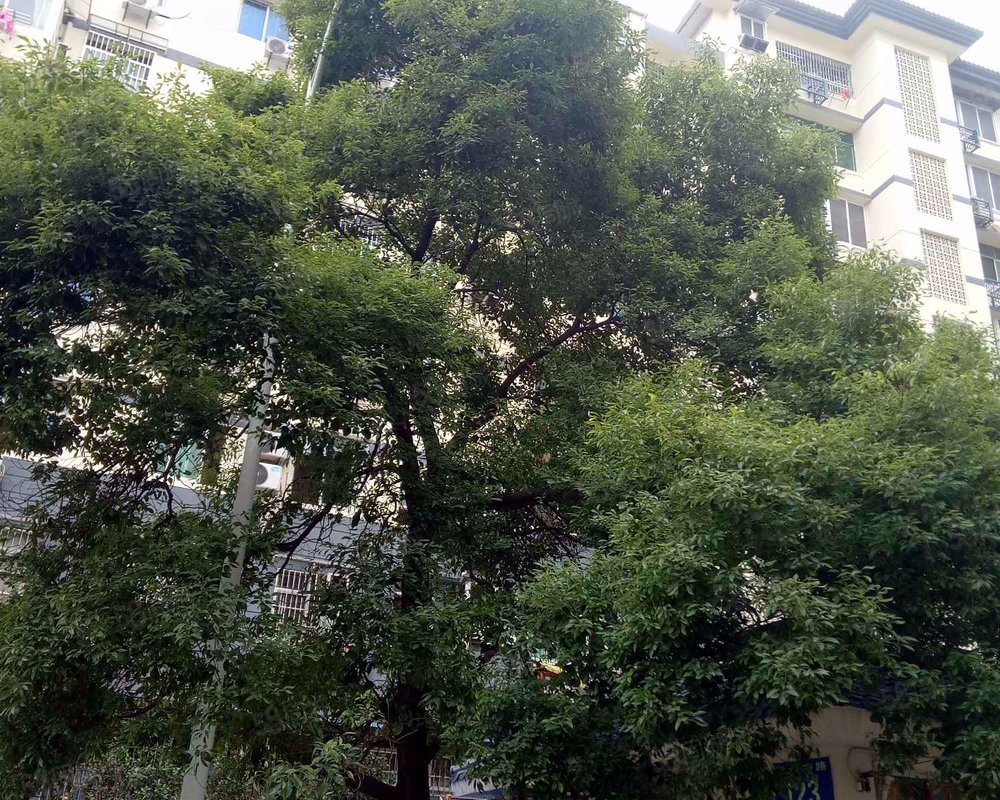 【景江公寓, 景江公寓小区详情,房价走势,房源,业主论坛】- 南昌58