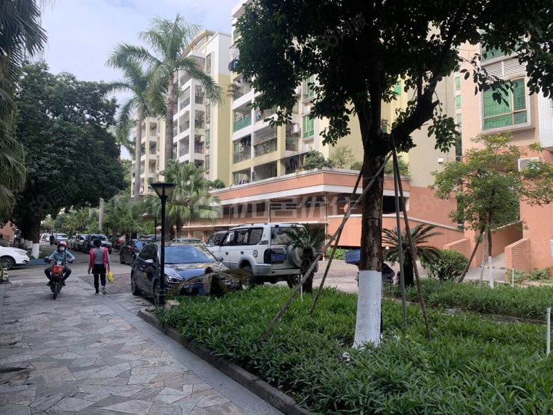 盐步南向精装 近广州黄岐嘉洲广场 155万 3室2厅 满五,荟景豪庭-佛山