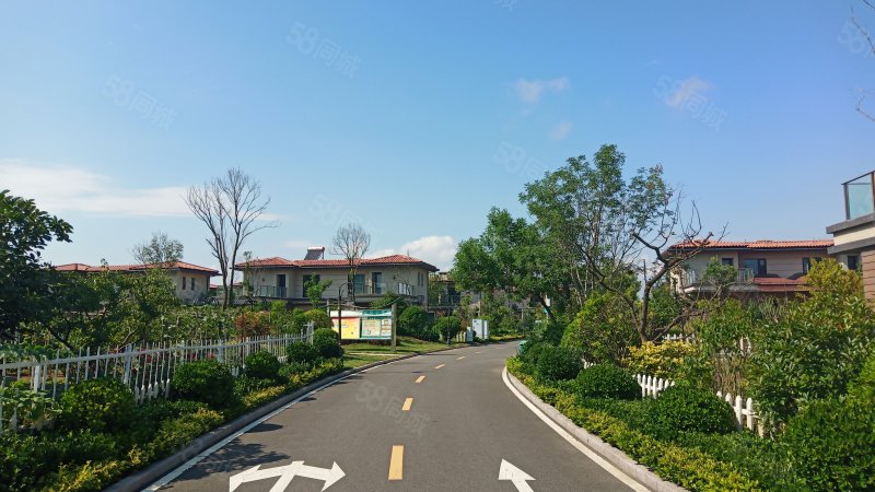 碧桂园十里金滩2室2厅1卫81.7㎡南北45万