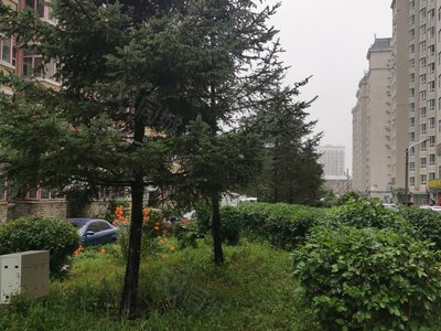 【银泉新都房价走势,银泉新都房屋出租,银泉新都二手房出售】- 七台河