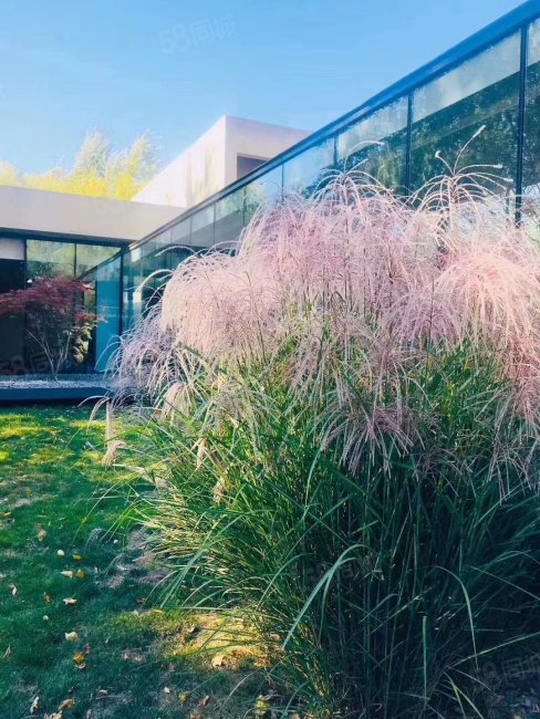 燕郊岩峰云裳2室2厅1卫45㎡南北36万