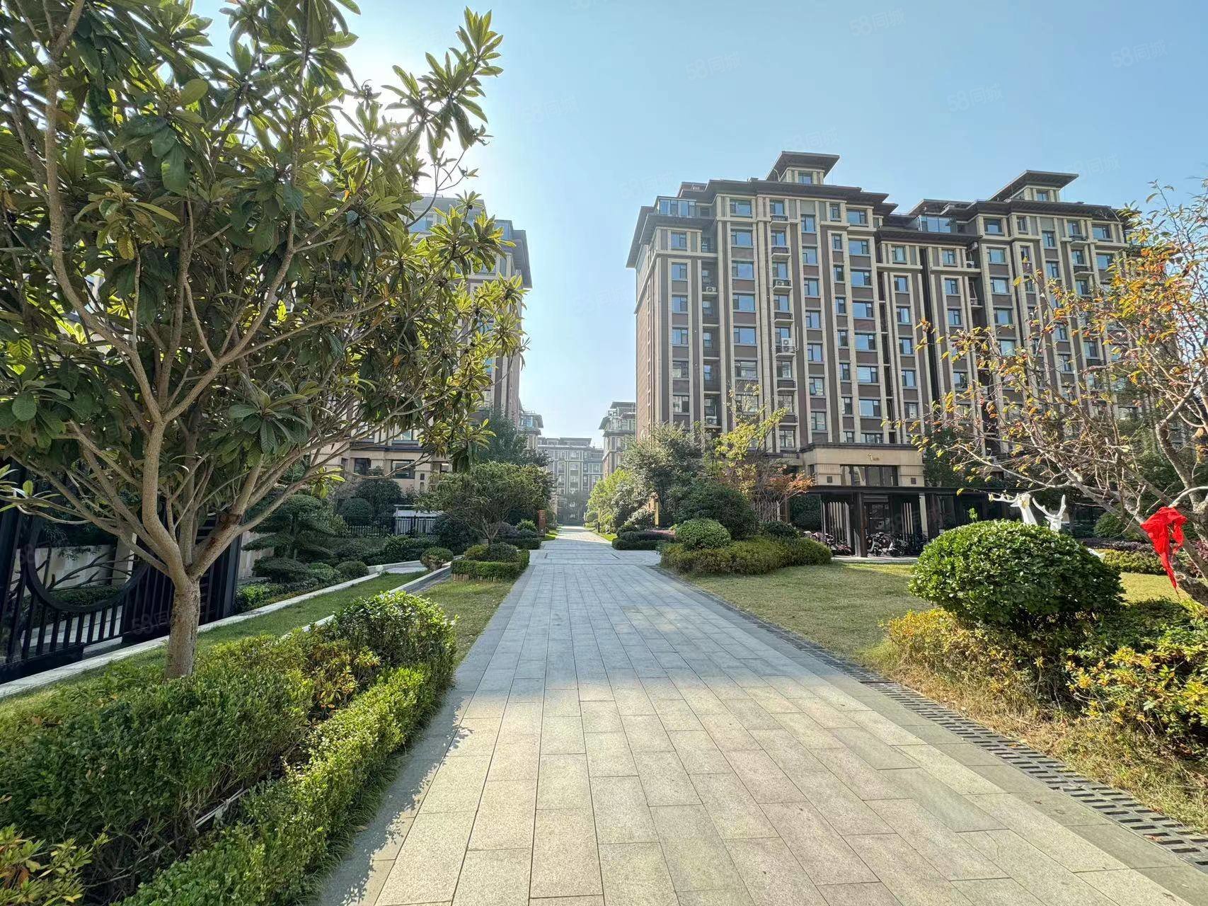 客厅通阳台两卧朝阳元宝户型 好楼层好位置,泰鑫东望府-临沂58同城