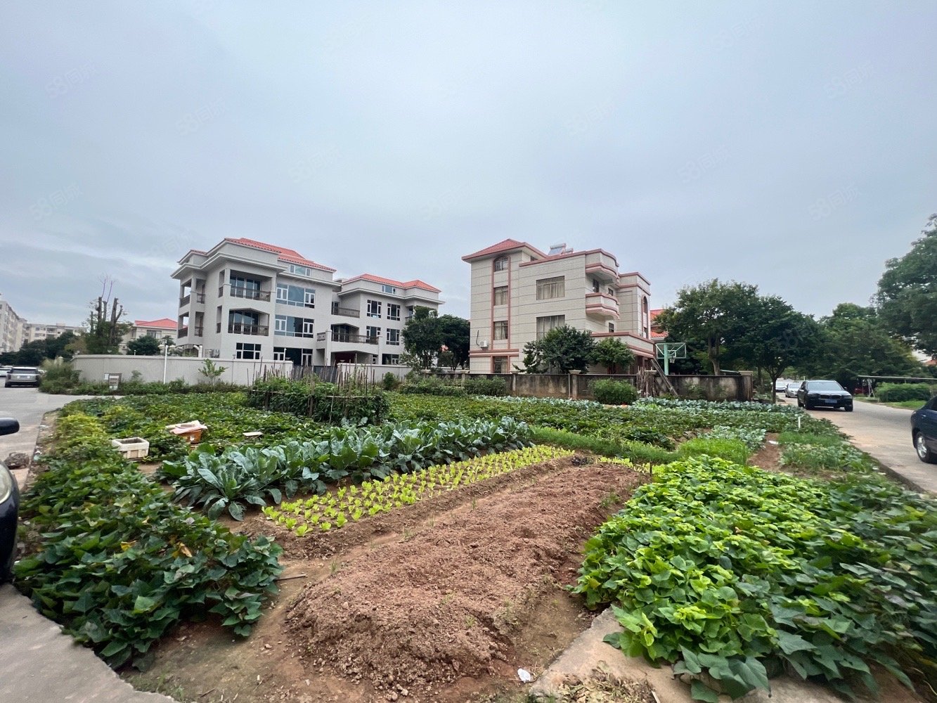 阳东花园东西区别墅地大10余条在售