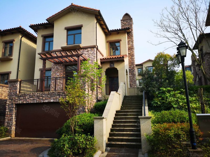 天目湖庄园一手独栋别墅 汽车库地下室花园