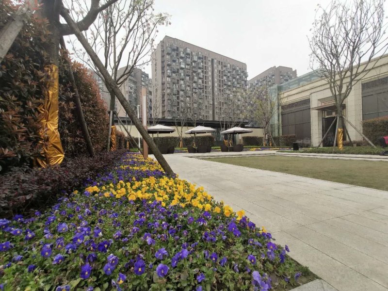 【花半里房价走势,花半里房屋出租,花半里二手房出售】- 成都58同城