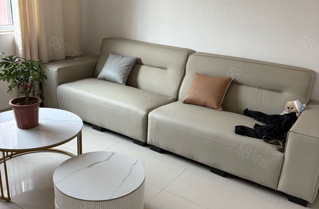 急售 ！ 电梯房 房东急置换 送地下室送车位房东直卖价格可议