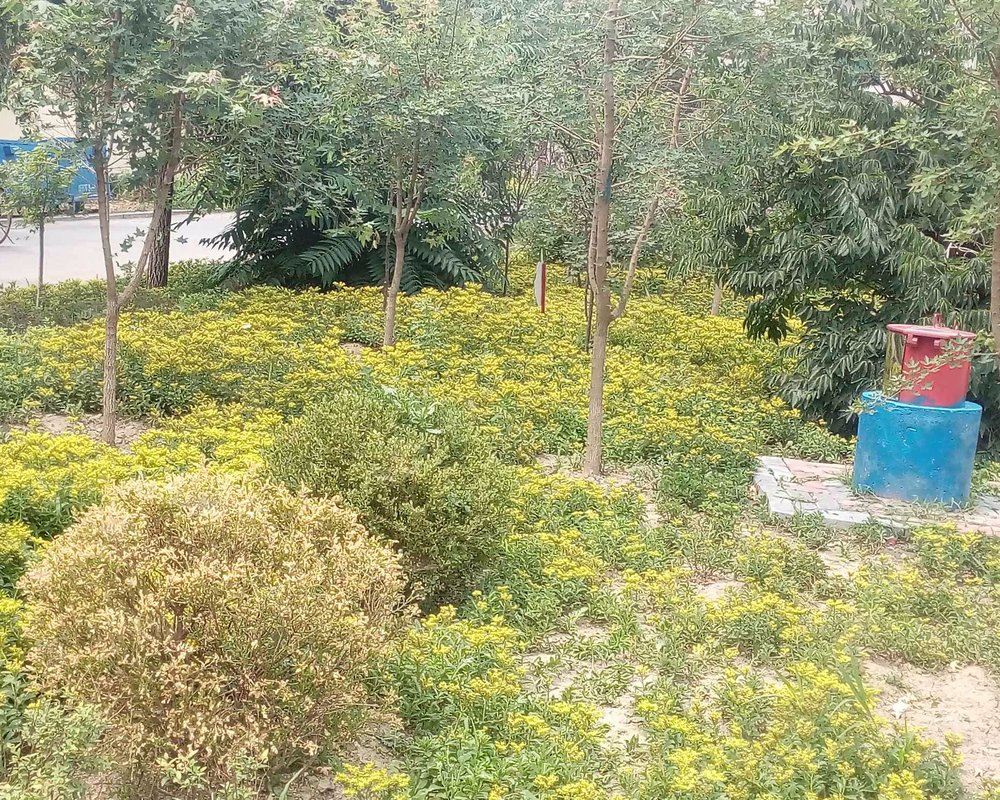 【华美新村, 华美新村小区详情,房价走势,房源,业主论坛】- 沈阳58