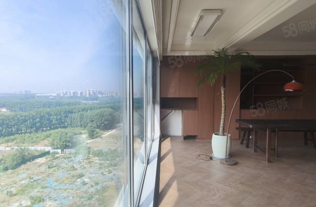 摩天轮吾悦广场新房未住龙湾芳华和鸣大观外国语    植物园，