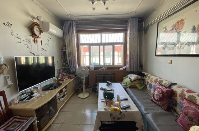 文轩  八中  柳园办事处  正规三室两厅一卫 随时看房