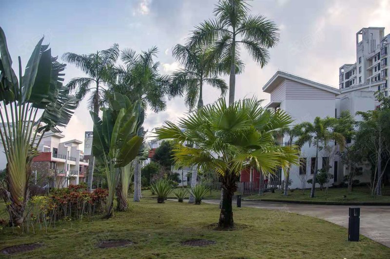 和贵花园2室2厅1卫85.88㎡南北37万