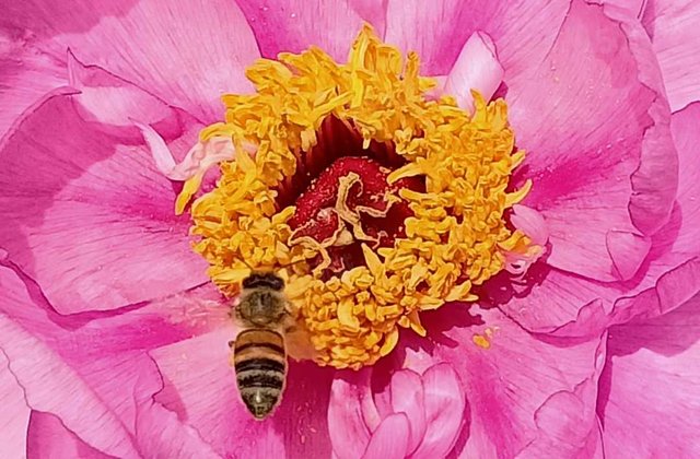 金城小区(南区)，房东急售，价格可议