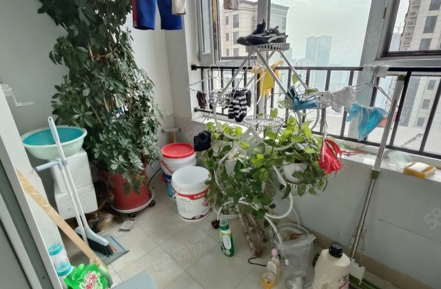 急售 文轩 东关国际