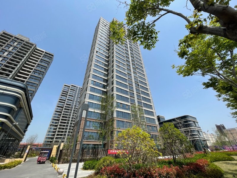 八一路新小区 同信天墅 电梯双气洋房 看房方便,同信天墅-商丘58同城