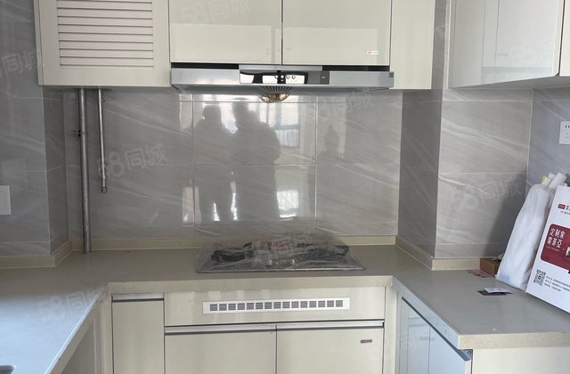 碧桂园国岳府4室2厅2卫