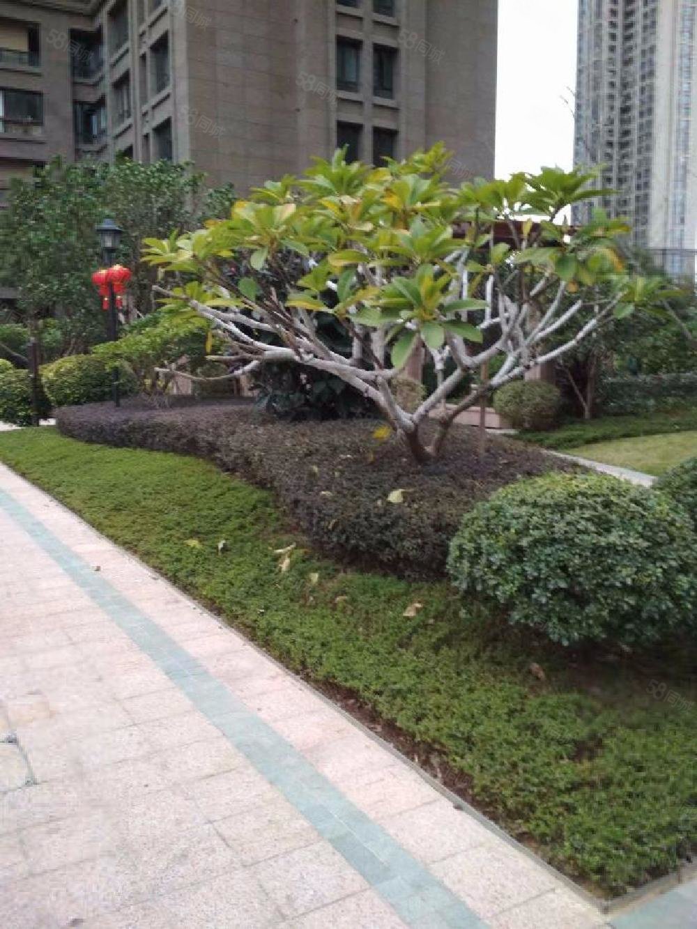 融侨外滩c区4室2厅3卫204.43㎡南北1480万